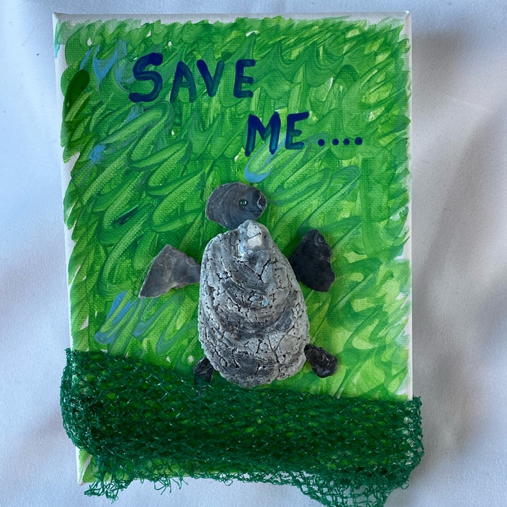 Artwork - Turtle on Canvas “Save Me” 6” x 8” NWOT